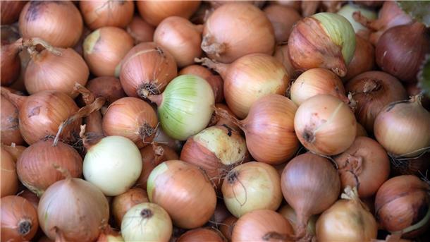 Ungewöhnlich: Drei Männer stehlen im Landkreis Rotenburg 120 Kilogramm Zwiebeln - direkt vom Feld. (Symbolbild)