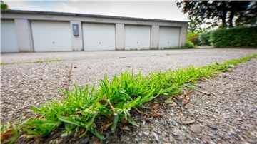 Unkrautvernichter dürfen nur auf gärtnerisch genutzten Flächen im Hausgarten angewendet werden. Generell verboten ist der Einsatz hingegen auf Garagenzufahrten, Wegen, Bürgersteigen, Terrassen, Straßen, Parkplätzen und Hofflächen.