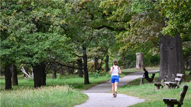 Unter Anleitung lernen, wie man 30 Minuten am Stück joggen kann. Im Bürgerpark in Bremerhaven startet ein neuer Kursus.
