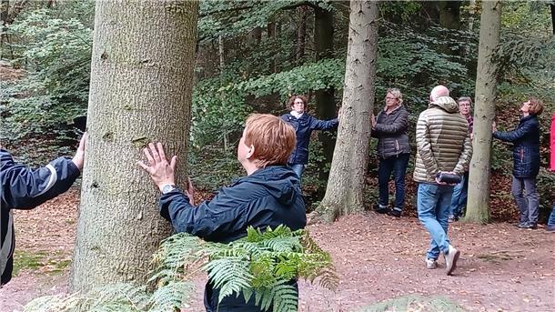 Unter Leitung eines Coaches aus Bremen nahmen die Rhader Landfrauen an einem Waldbaden teil.