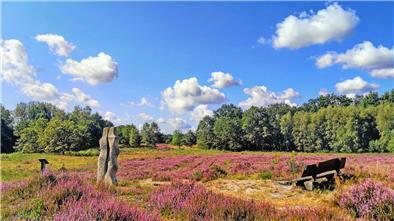 Unterwegs auf dem Nordpfad Wümme und Vareler Heide gelangt der Wanderer durch eine idyllische Heidelandschaft und kommt an der Skulptur „Begegnung“ der Künstlerin Gisela Milse vorbei.