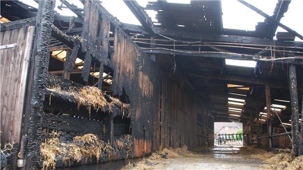 Verbranntes Holz, Löschwasser auf dem Boden: Das Feuer hat ordentlich gewütet im Boxenlaufstall von Jörg Rademacher. Doch alle 125 Rinder konnten – dank tatkräftiger Hilfe von Nachbarn und anderen Flögelnern – rechtzeitig in Sicherheit gebracht werden. Fotos: Schoener