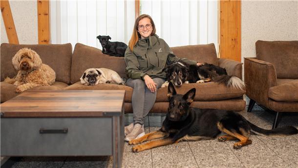Eine Frau sitzt mit fünf Hunden auf einem Sofa. 