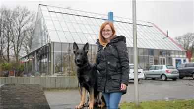 Hundepension