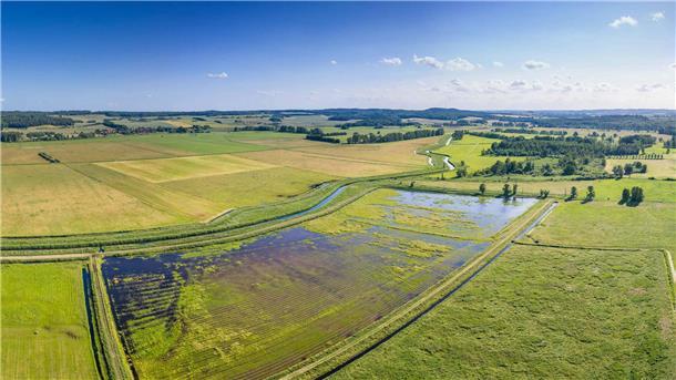 Vernässung: Wird das Klimaschutzprogramm der Bundesregierung und des Landes so umgesetzt wie beschlossen, könnten Hunderte von Hektar in der Wesermarsch in einigen Jahren schon so aussehen.