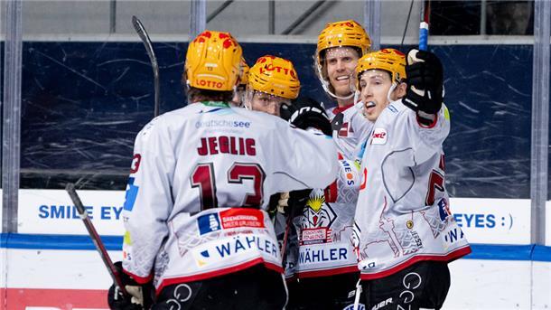 Jubeltraube der Pinguins
