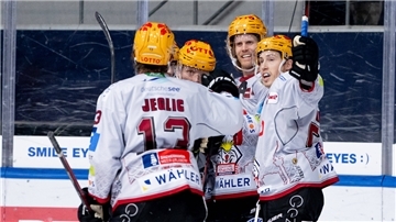 Jubeltraube der Pinguins