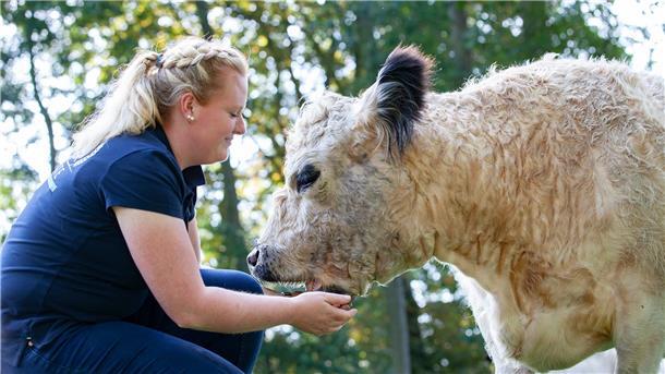 Viel mehr als nur eine Zweckgemeinschaft: Landwirtin Hjördis Plate ist es wichtig, dass ihre Galloway-Rinder ein gutes Leben auf dem familieneigenen Hof haben.