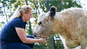 Viel mehr als nur eine Zweckgemeinschaft: Landwirtin Hjördis Plate ist es wichtig, dass ihre Galloway-Rinder ein gutes Leben auf dem familieneigenen Hof haben.