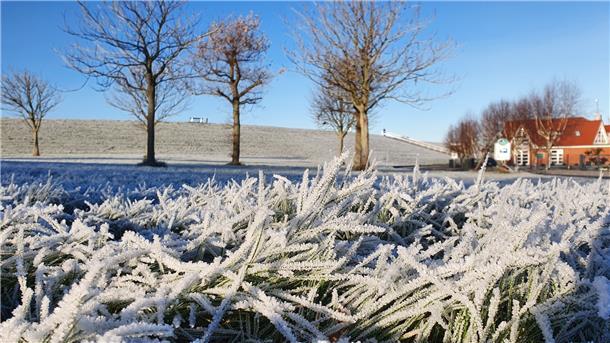 Viel Schnee braucht es nicht, um das flache Land hinter dem Wremer Seedeich in eine frostige Märchenlandschaft zu verwandeln.