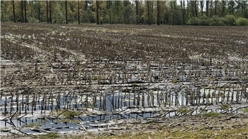 Viele landwirtschaftliche Flächen sind derzeit nicht befahrbar.
