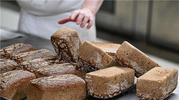 Das Bäckerhandwerk - Zwischen Brotkunst und Preisdruck Vollkornbrote frisch aus dem Ofen.