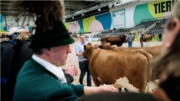 Grüne Woche verfehlt Besucher-Ziel  Vom 19. bis 28. Januar 2024 findet die 88. Ausgabe der Grünen Woche, einer internationalen Leitmesse für Ernährung, Landwirtschaft und Gartenbau, statt.