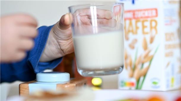 Vegetarisches Essen für Kinder - gesund oder riskant? Von einer veganen Ernährung bei den Kleinen - also auch ohne Milch, Milchprodukte und Eier - raten Mediziner ab.