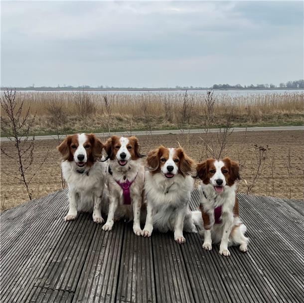 von links auf dem Bild am Strand in Nordenham: Benjii (11), Aria (7), Aron (12) ...