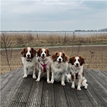 von links auf dem Bild am Strand in Nordenham: Benjii (11), Aria (7), Aron (12) ...