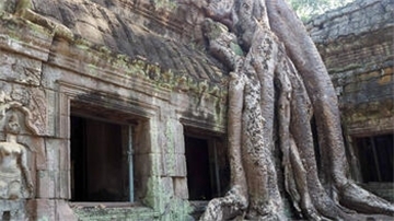 Tempel Ta Prohm auf der Tempelanlage Angkor Wat in Kambodscha