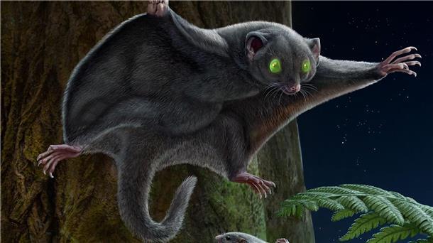 Mit braunem Fell gut getarnt Vor 150 Millionen Jahren schlichen Säugetiere wohl in braunem Fell umher.
