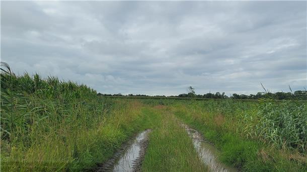 Oberstrich Cappel