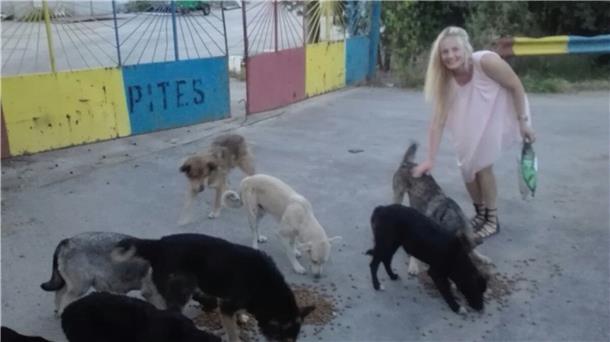 Sie kämpft für ein besseres Leben der Straßenhunde Vor der Corona-Pandemie ist Kamilla Szewczyk ein- bis zweimal pro Jahr mit ihrem Transporter nach Rumänien gefahren, um notleidenden Straßenhunden zu helfen.