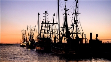 Wremer Kutterhafen