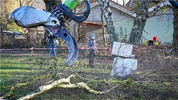 Vor einem Jahr rückte der Bagger einer alten Birke und zwei 100-jährigen Kastanien zu Leibe. Da auf dem Gelände ringsum Fledermäuse leben könnten, fordert das Umweltamt vom Bauherrn ein neues Gutachten. Vorher darf hier nicht gebaut werden.