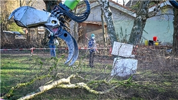 Vor einem Jahr rückte der Bagger einer alten Birke und zwei 100-jährigen Kastanien zu Leibe. Da auf dem Gelände ringsum Fledermäuse leben könnten, fordert das Umweltamt vom Bauherrn ein neues Gutachten. Vorher darf hier nicht gebaut werden.