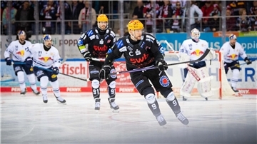 Vor einem Jahr war München noch der große Favorit. In diesem Jahr sind die Pinguins um Kapitän Jan Urbas jedoch mehr als ein ebenbürtiger Gegner.