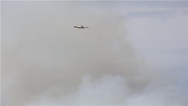 Waldbrand im Harz - 500 Menschen vom Brocken geholt Vor zwei Jahren hatte der Landkreis Harz den Katastrophenfall wegen eines Brandes am Brocken ausgerufen - jetzt ist dort wieder ein Feuer ausgebrochen.