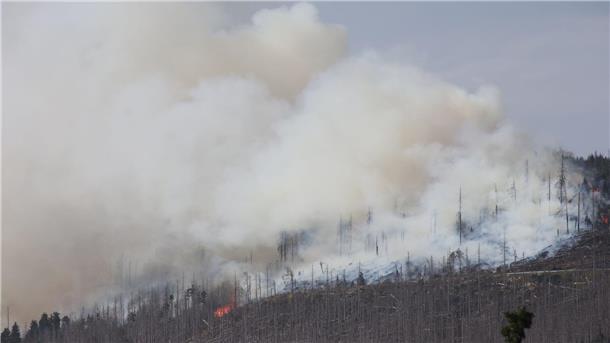 Waldbrand im Harz - 500 Menschen vom Brocken geholt Vor zwei Jahren hatte der Landkreis Harz den Katastrophenfall wegen eines Brandes am Brocken ausgerufen - jetzt ist dort wieder ein Feuer ausgebrochen.