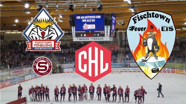 Bild aus der Eisarena