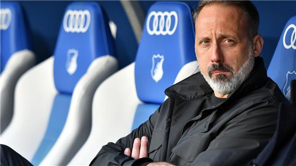 Wackelt: Hoffenheims Trainer Pellegrino Matarazzo