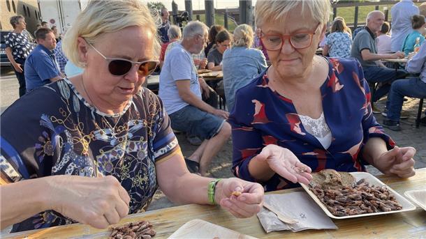 Während Renate Künast (rechts) den kleinen Seestern auf der Hand hält, den ihr Söhnke Thaden geschenkt hat, zeigt Ina Korter der Parteifreundin, wie man Krabben pult.