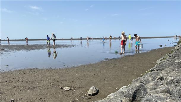 Wasser weg, Touristen da: Auch im Watt lässt es sich bei dem Wetter herrlich abkühlen.