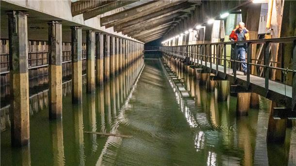Wie ein Spalier von Sumpfzypressen ragen die Pfeiler aus dem Grundwasser unter dem Containerterminal.