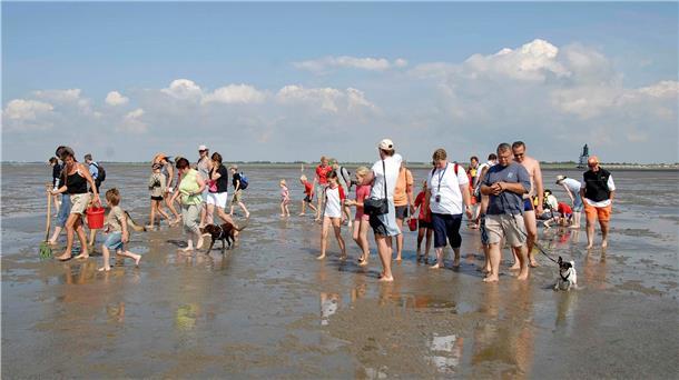 Wattwandern gehört laut Gästebefragung zu den beliebstesten Aktivitäten der Touristen an der Wurster Küste.