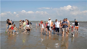 Wattwandern gehört laut Gästebefragung zu den beliebstesten Aktivitäten der Touristen an der Wurster Küste.