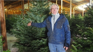 Weihnachtsbäume gibt es auch bei Andreas Speckels-Suhren auf dem Hof Königsfeld am Mittelweg. In diesem Jahr stehen die Tannen überdacht in der Scheune.