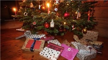 Weihnachtsgeschenke unter einem geschmückten Weihnachtsbaum.
