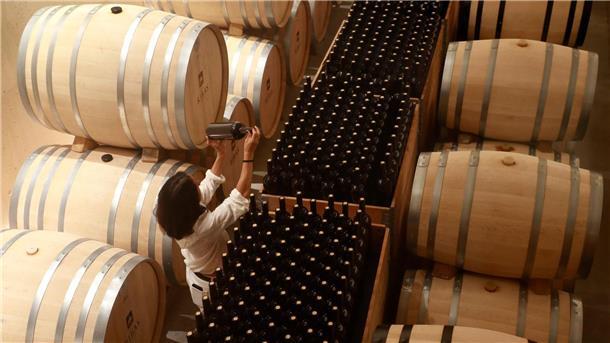 Sehr niedrige weltweite Weinproduktion erwartet Wein in Fässern und Flaschen: Die Produktion könnte einer Branchenschätzung zufolge in diesem Jahr auf den niedrigsten Stand seit 60 Jahren zurückgehen.