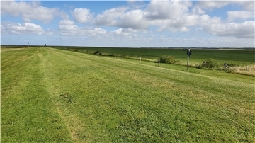 Wenn der Sommerdeich – wie hier in Spieka-Neufeld – an mehreren Stellen geöffnet wird, kann das Meer sich das Land ein Stück weit zurückerobern. Gut für die Seevögel, sagt die Nationalpark-Verwaltung. Die Dorfbewohner dagegen fürchten um ihr archäologisches Baudenkmal.