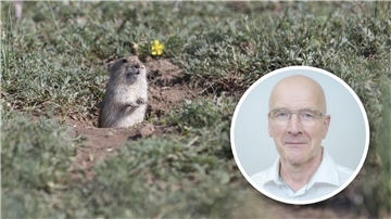 Wenn se bleiht, seht Kaiserkronen wunnerschön ut. Se stinkt over gewaltig. De Knullen besünners dull. Wöhlmüüs künnt den Gestank nich verdreegen un neit ut.