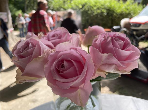 So schön war die Landpartie „Garten & Ambiente“ in Nordenham Wer bei der Landpartie alles sehen wollte, musste Zeit mitbringen. Das Angebot war riesig.
