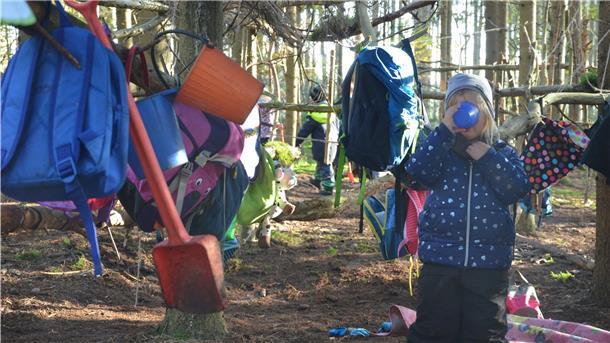 Wer braucht schon eine richtige Garderobe, wenn er sich im Wald auch eine selbst bauen kann: Breddorfer Kindergarten-Kinder haben mit ihren Erziehern eine Waldwoche ausprobiert. Das Fazit fällt positiv aus.