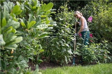 Frau in einer Hecke bei der Gartenarbeit