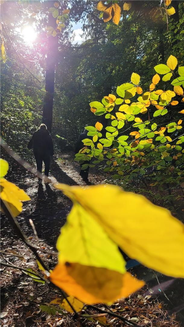 Warum es sich lohnt, den Herbst zu lieben Wer den "Indian Summer" erleben will, der muss nicht nach Nordamerika reisen. Auch in Parks oder in Wäldern - wie im Wernerwald in Cuxhaven oder im Holzurburger Wald in Bad Bederkesa - zeigen sich Laubbäume jetzt von ihrer bunten Seite.