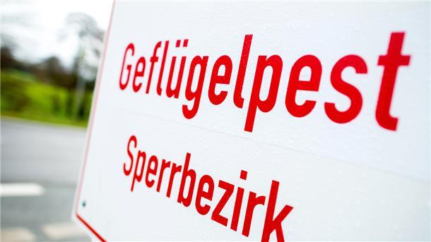 Werden am Freitag aufgehoben: die sogenannten Restriktionszonen im Landkreis Cuxhaven nach den beiden Geflügelpestausbrüchen in Beverstedt.