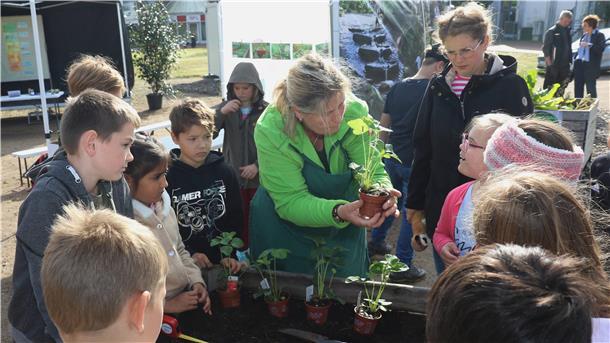 Kinder gärtnern mit Erwachsenen an einem Hochbeet