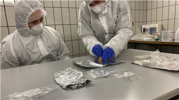 Wie eine Zeitkapsel enthalten Koprolithen Hinweise auf die Produzenten der Exkremente und deren Nahrung: die verdauten Tiere und Pflanzen.