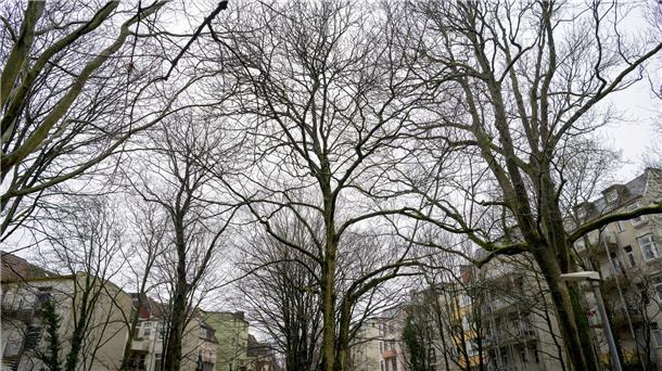 Wie geht es weiter mit dem kleinen Park an der Bogenstraße? Voraussichtlich muss doch dort gebaut werden. 